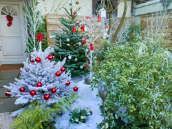 Noel Jardin Mioulane NewsJardinTV NPM 2607524437