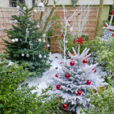Noël Jardin Mioulane NewsJardinTV NPM 2607525623