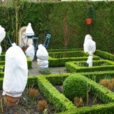 Protection Hiverrnale Mioulane NewsJardinTV Jardimiou NPM 719516446