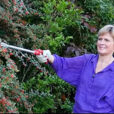Emondage Mioulane NewsJardinTV Jardimiou 88659523