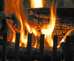 Cheminee Feu Mioulane NewsJardinTV IMG 3982