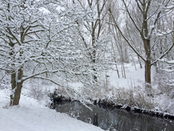 Neige Hiver Mioulane NewsJardinTV Jardimiou IMG 4381