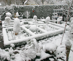 Protection Hivernale Neige Mioulane NewsJardinTV Jardimiou 0003747