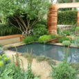 Jardin Bassin Mioulane NewsJardinTV Jardimiou P1030406