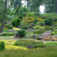 Jardin Rocaille Mioulane NewsJardinTV Jardimiou NPM 85021091