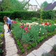 Jardin personnage Mioulane NewsJardinTV Jardimiou NPM GIP0101412