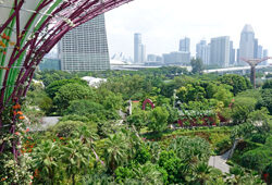 Singapour Mioulne NewsJardinTV NPM 2707526867