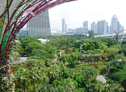 Singapour Mioulne NewsJardinTV NPM 2707526867