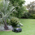 Tonte Robot Mioulane NewsJardinTV Jardimiou NPM 850446028