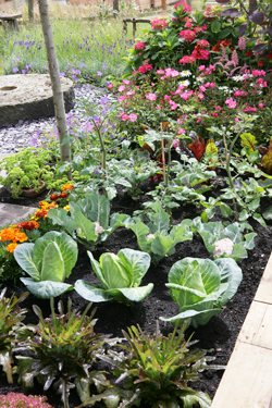 Potager Mioulane NewsJardinTV Jardimiou NPM 850310249