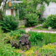 Cour Jardin Mioulane ewsJardinTV Jardimiou NPM 914374082