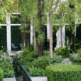 Jardin Ruisseau Mioulane NewsJardinTV Jardimiou NPM 84972053