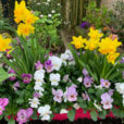 Jardiniere Printemps Mioulane NewsJardinTV Jardimiou IMG 4669