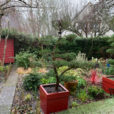 Pluie Jardin Mioulane NewsJardinTV Jardimiou IMG 4437
