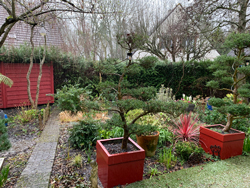 Pluie Jardin Mioulane NewsJardinTV Jardimiou IMG 4437