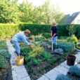 Jardinage Personnages Mioulane NewsJardinTV Jardimiou NPM GIP0053519