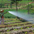 Fermiere Arrosage Mioulane NewsJardinTV Jardimiou NPM 84998064