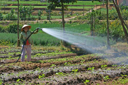Fermiere Arrosage Mioulane NewsJardinTV Jardimiou NPM 84998064