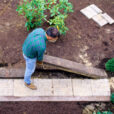 Amenagement Jardin Mioulane NewsJardinTV Jardimiou NPM GIP0094469