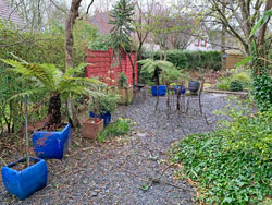 Jardin Mars Mioulane NewsJardinTV Jardimiou IMG 4461