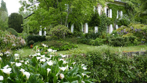 Jardin de France