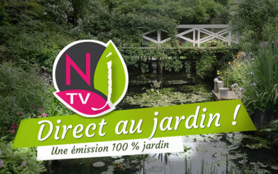 Direct au jardin