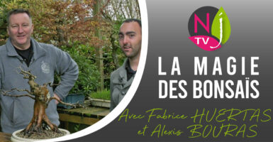 Fabrice Huertas & Alexis Bouras