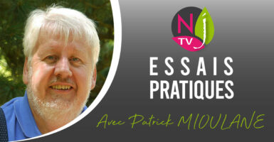 Patrick Mioulane