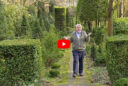 Découvertes Jardin n°62