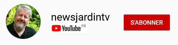 chaine youtube