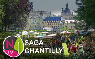 Saga Chantilly