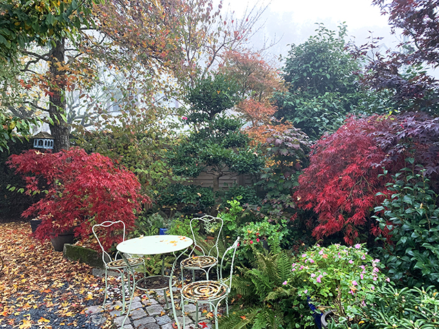 Féerie d’automne dans le jardin de Nicole et Patrick