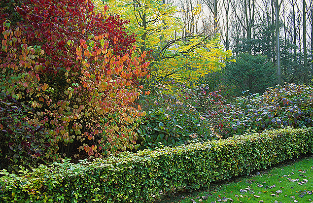 Massif d'automne