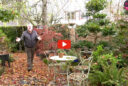 Découvertes Jardin n°65