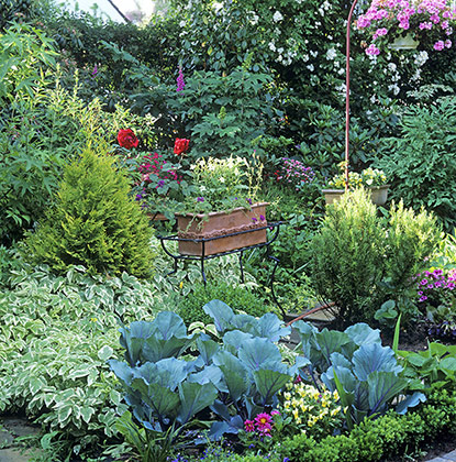 Le potager contemporain s’intègre dans le jardin d’ornement