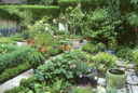 Un coin potager fleuri dans un petit jardin structuré