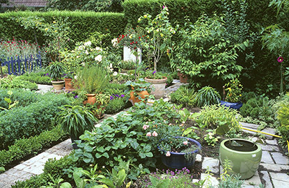 Un coin potager fleuri dans un petit jardin structuré