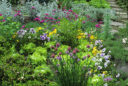 Un compagnonnage esthétique pour ce petit coin de jardin