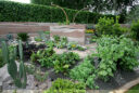 Potager méditerranéen