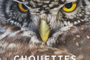 Chouettes et hiboux