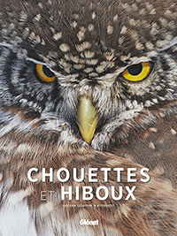 Chouettes et hiboux