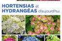 Hortensias et hydrangeas d’aujourd’hui