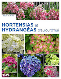 Hortensias et hydrangeas d’aujourd’hui