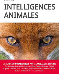 Intelligences animales