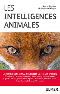 Intelligences animales