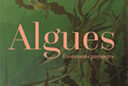 Livre : algues