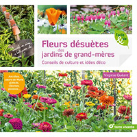 Fleurs désuètes des jardins de grands-mères