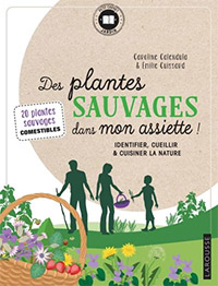 Des Plantes sauvages dans mon assiette