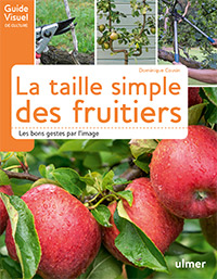 La taille simple des arbres fruitiers