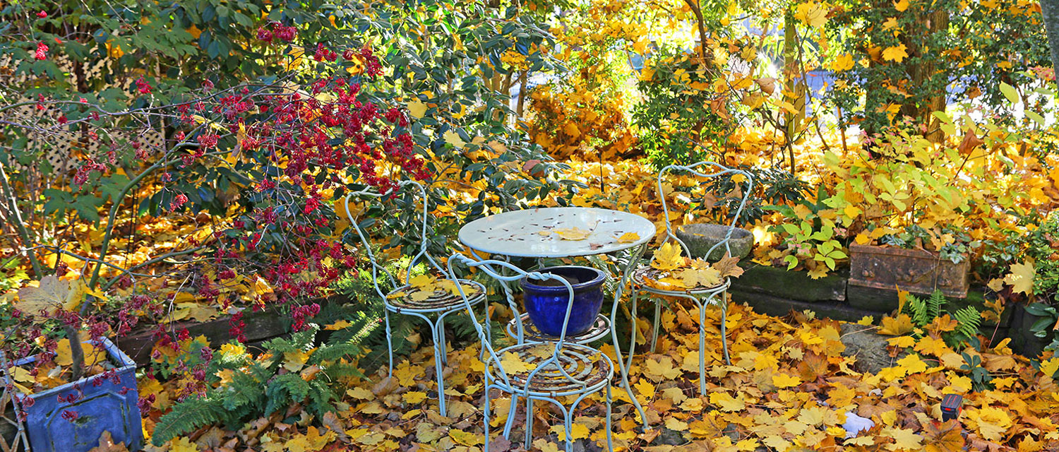 terrasse en automne
